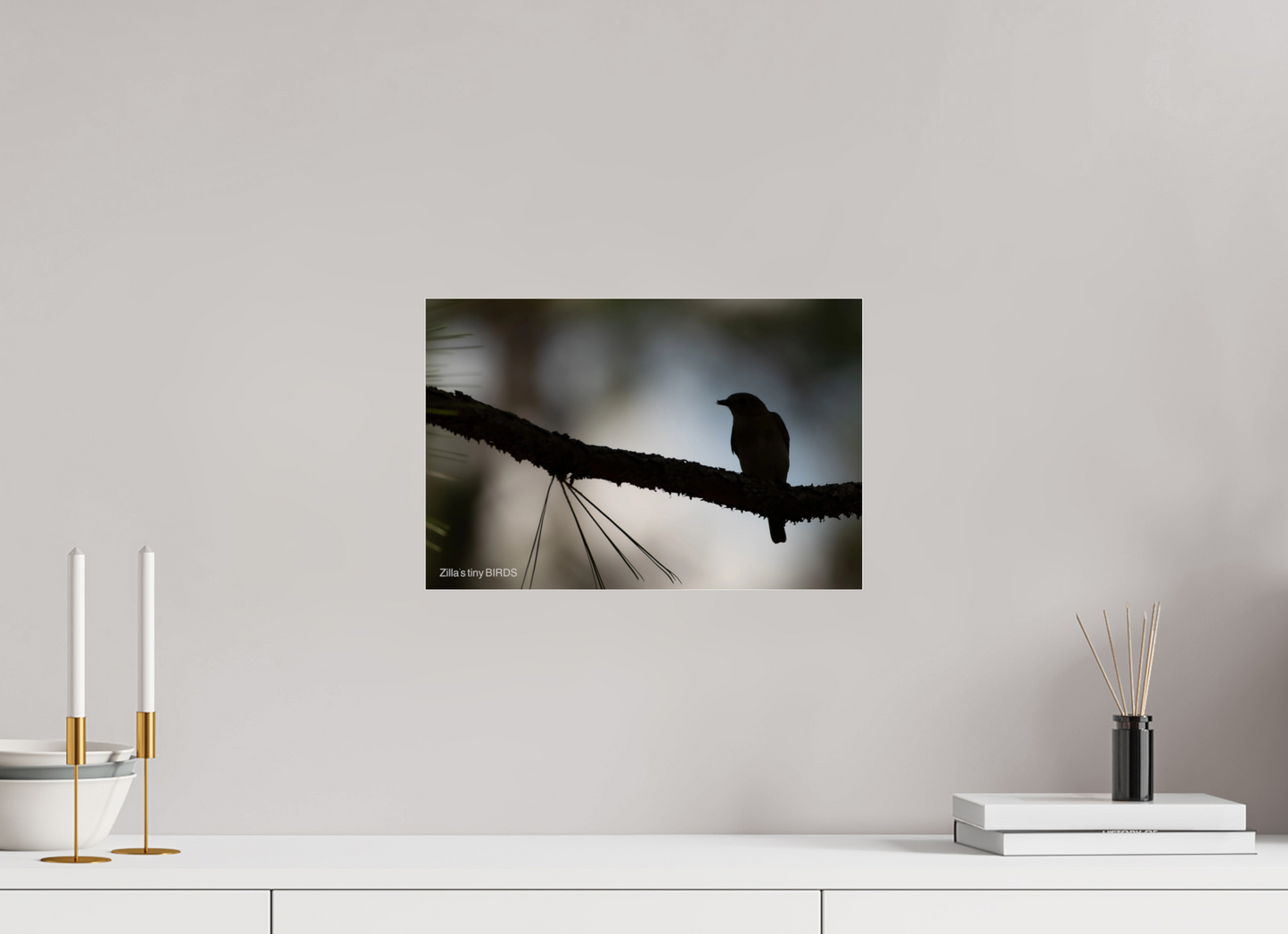 15 x 10″, Photo Print Under Acrylic Glass Zillas Zoom Image 372