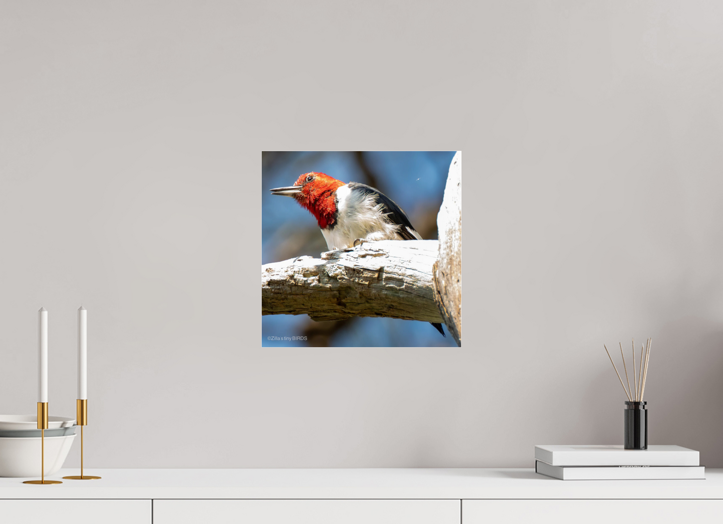12.2 x 12″, Photo Print Under Acrylic Glass Zillas Zoom Image 273
