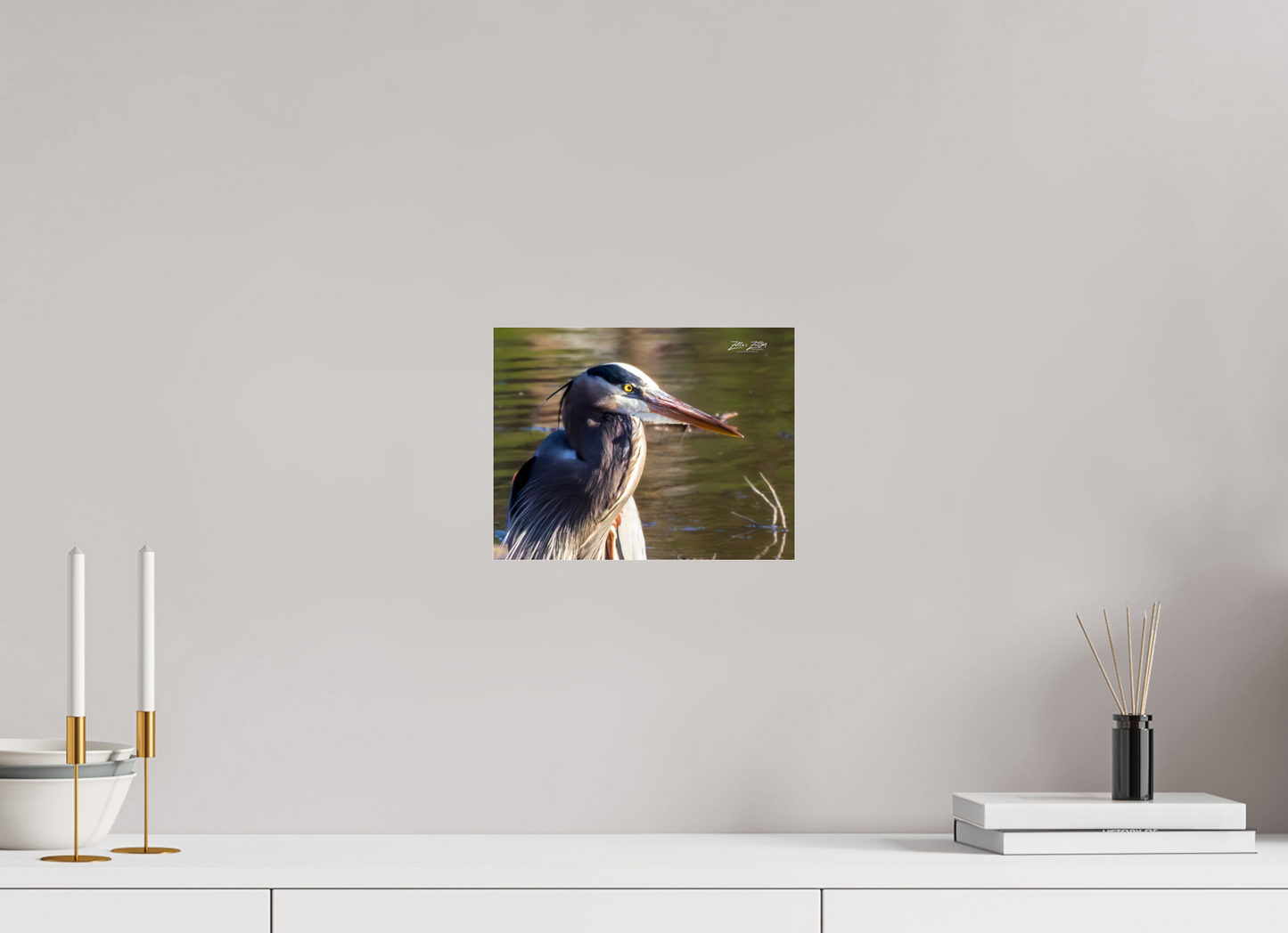 10.4 x 8″, Photo Print Under Acrylic Glass Zillas Zoom Image 267