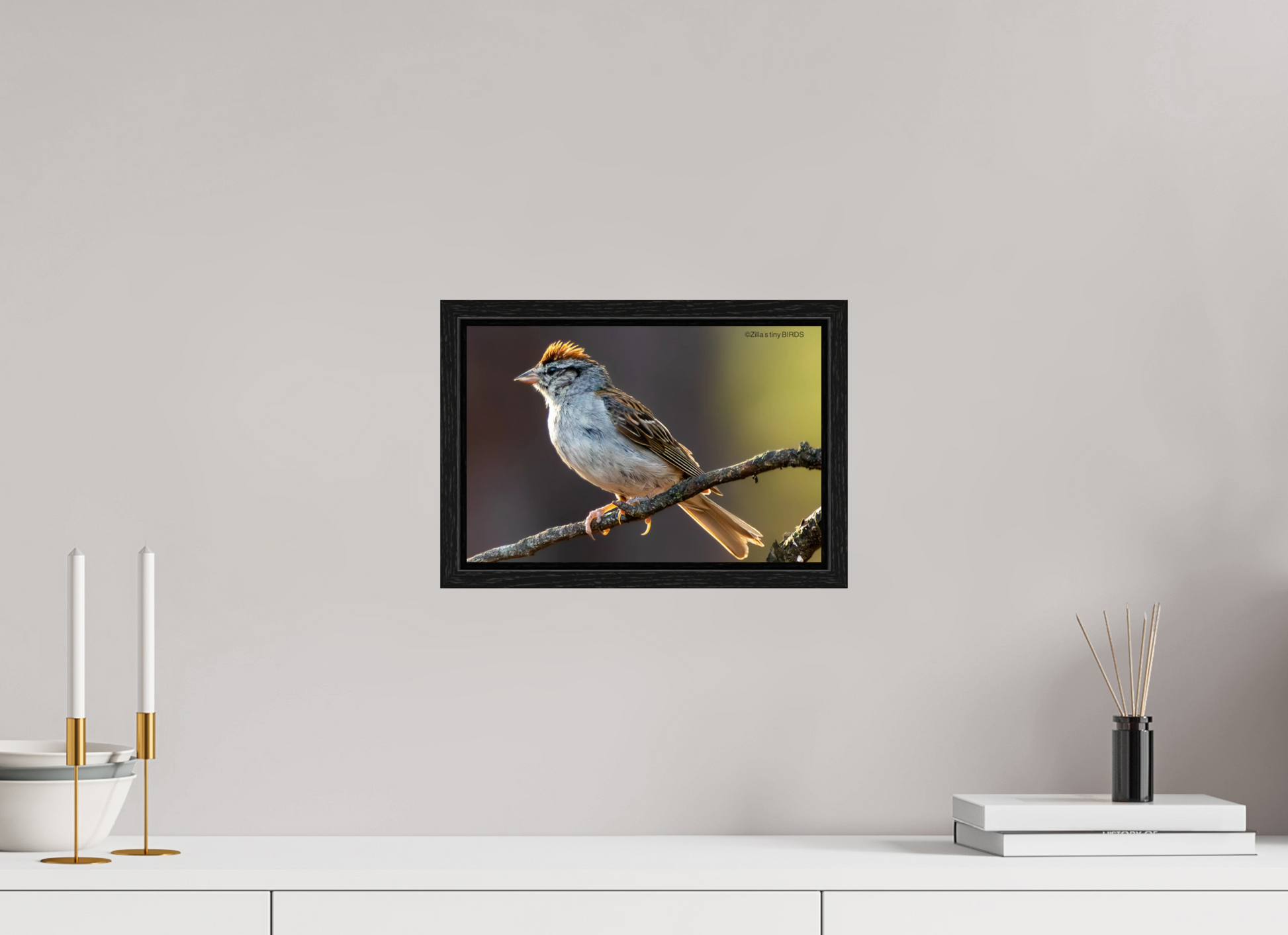 12 x 8″, Floater Frame Zillas Zoom Image 308