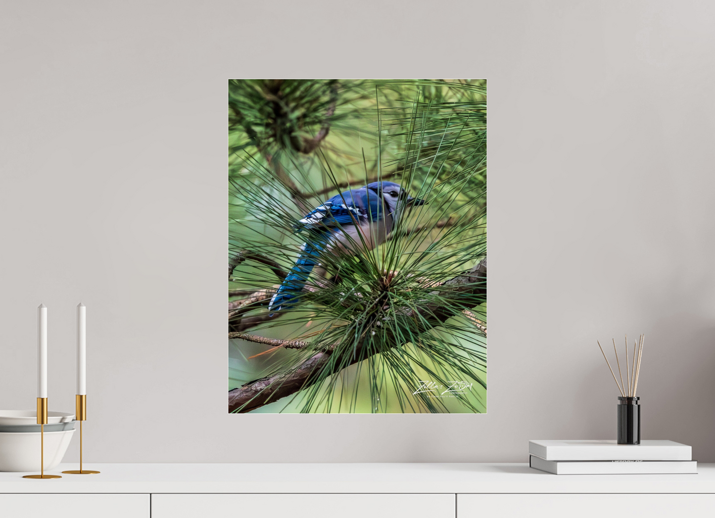 16 x 20.7″, Photo Print Under Acrylic Glass Zillas Zoom Image 457