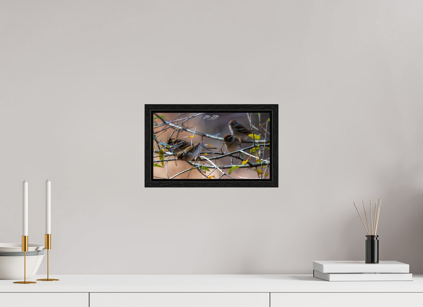 12 x 6.8″, Floater Frame Zillas Zoom Image 304