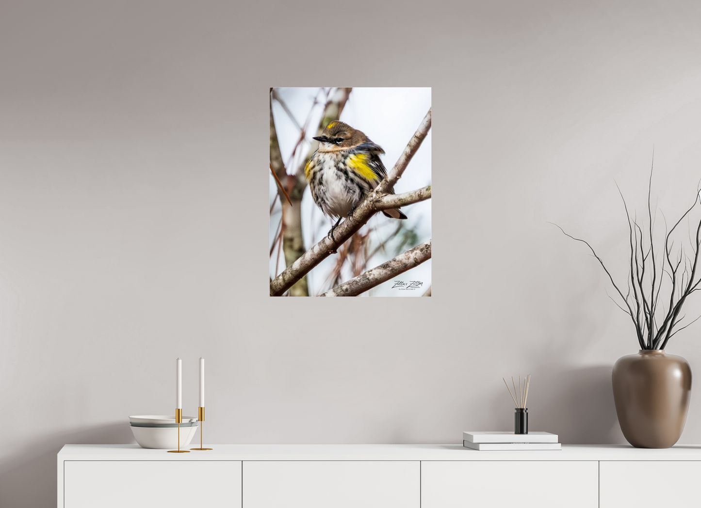 20 x 25.9″, Photo Print Under Acrylic Glass Zillas Zoom Image 501