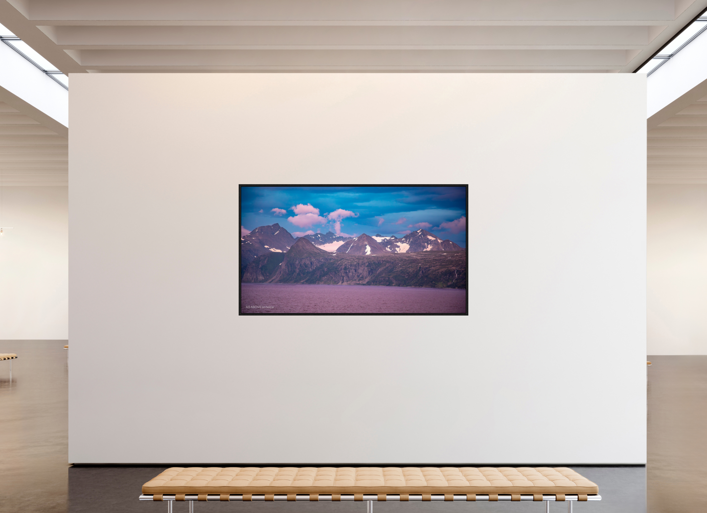 80 x 45″, Floater Frame Zillas Zoom Image 224
