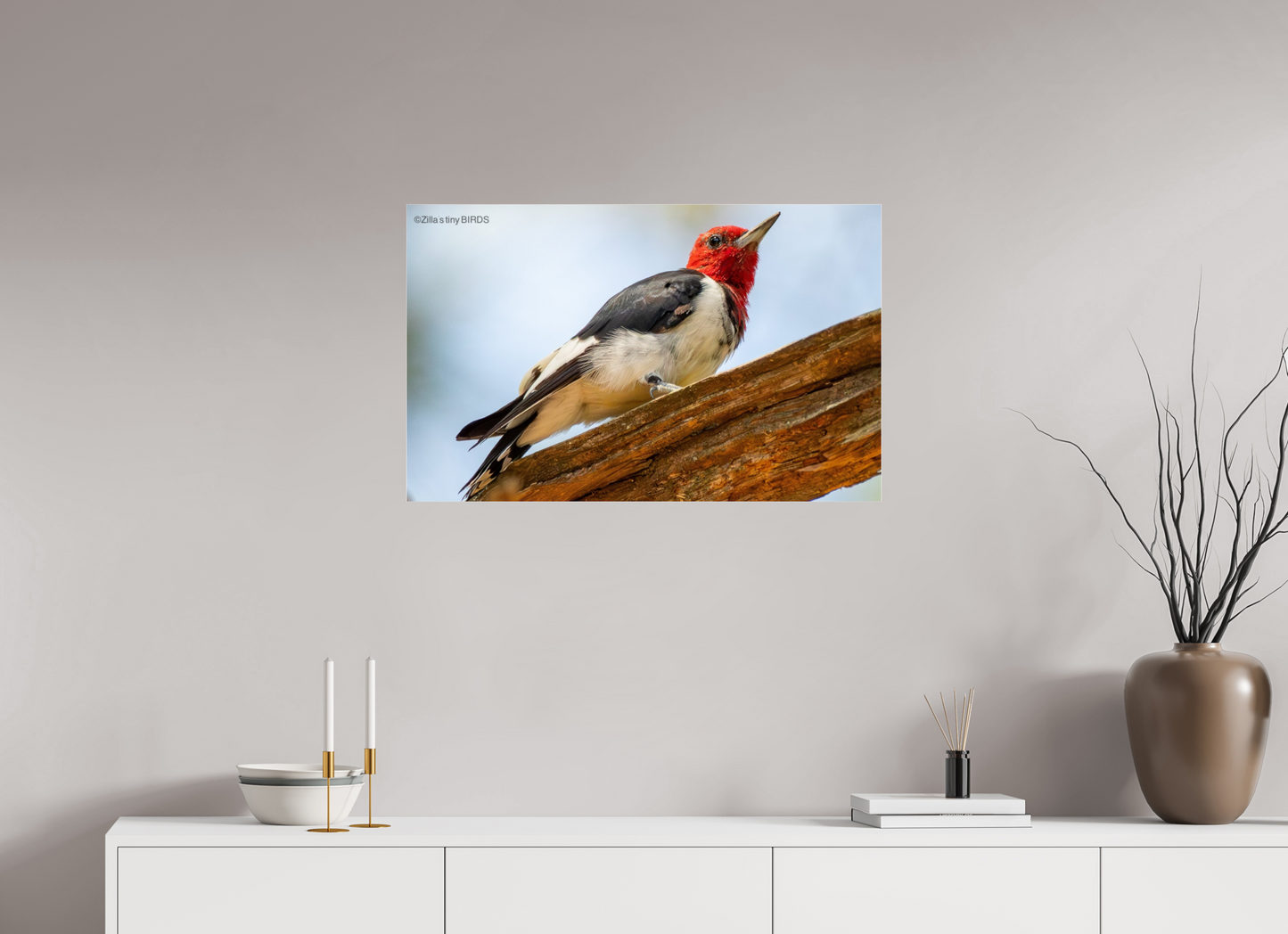 32 x 20″, Photo Print Under Acrylic Glass Zillas Zoom Image 328