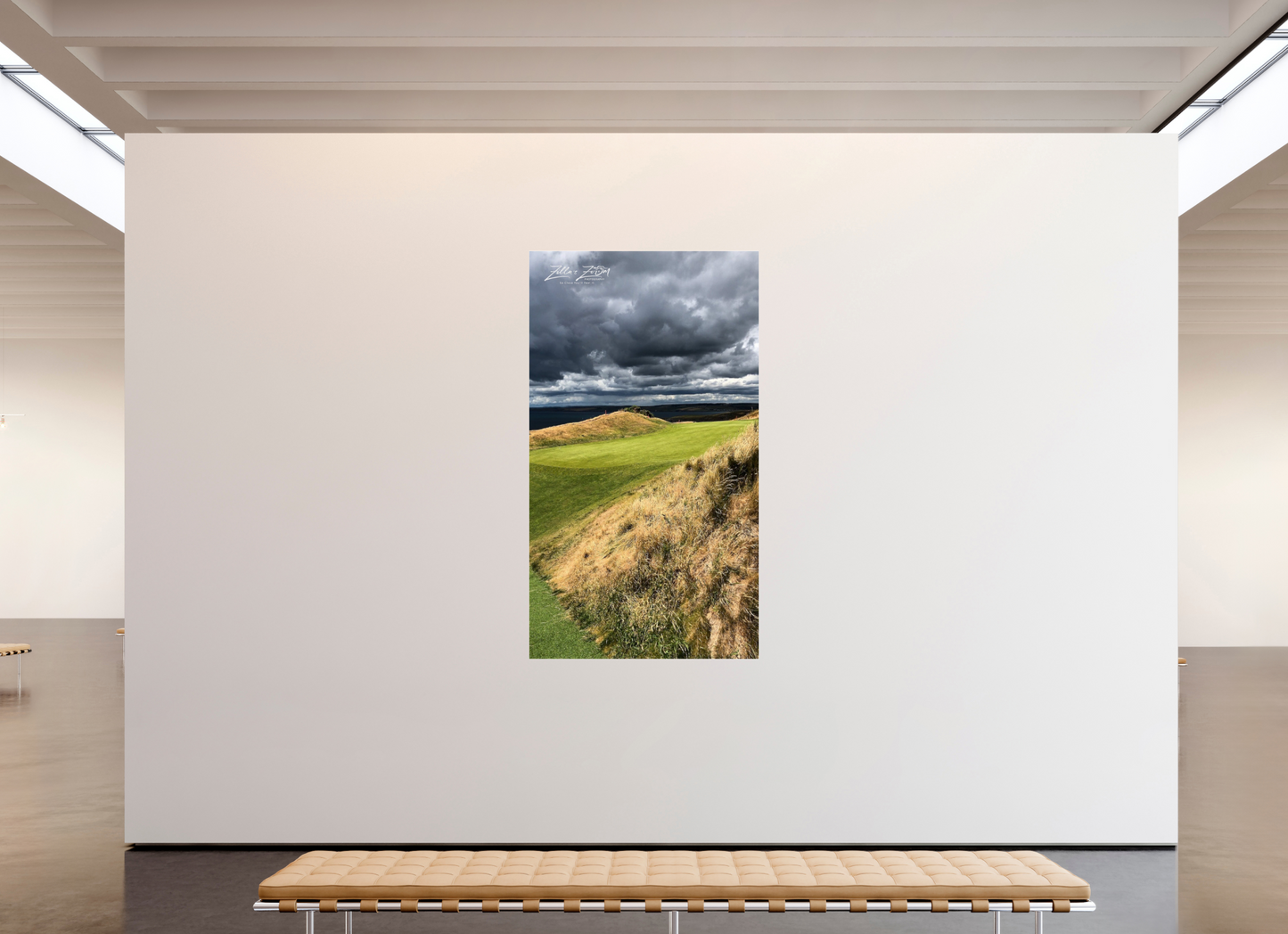 45 x 80″, Photo Print Under Acrylic Glass Zillas Zoom Image 248