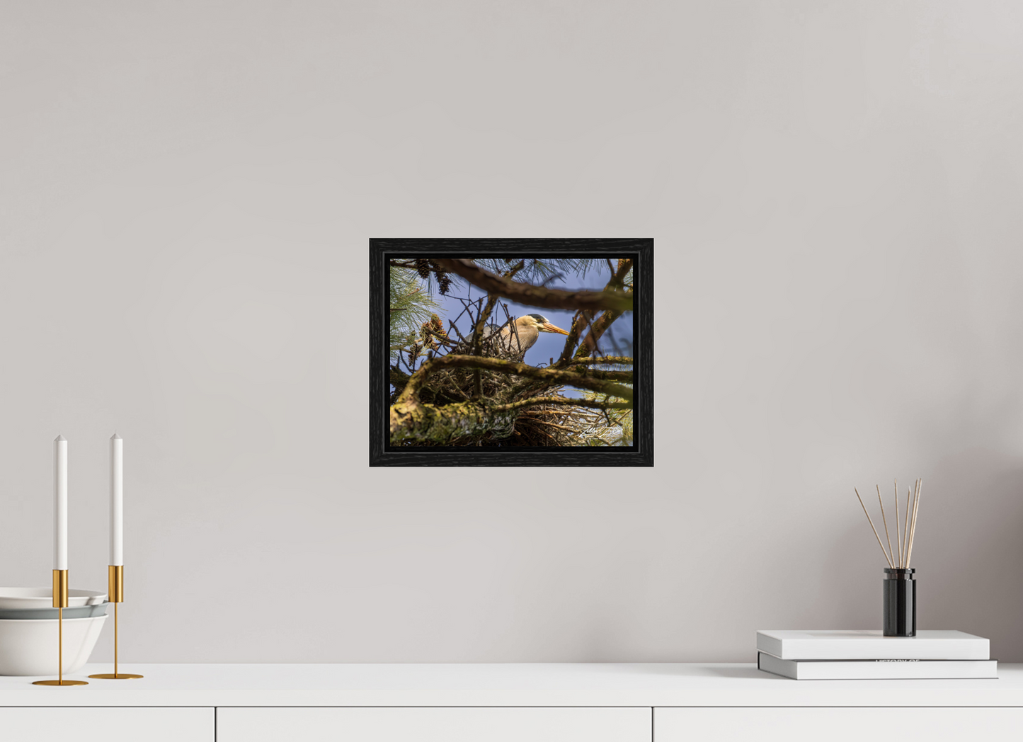 10.4 x 8″, Floater Frame Zillas Zoom Image 361