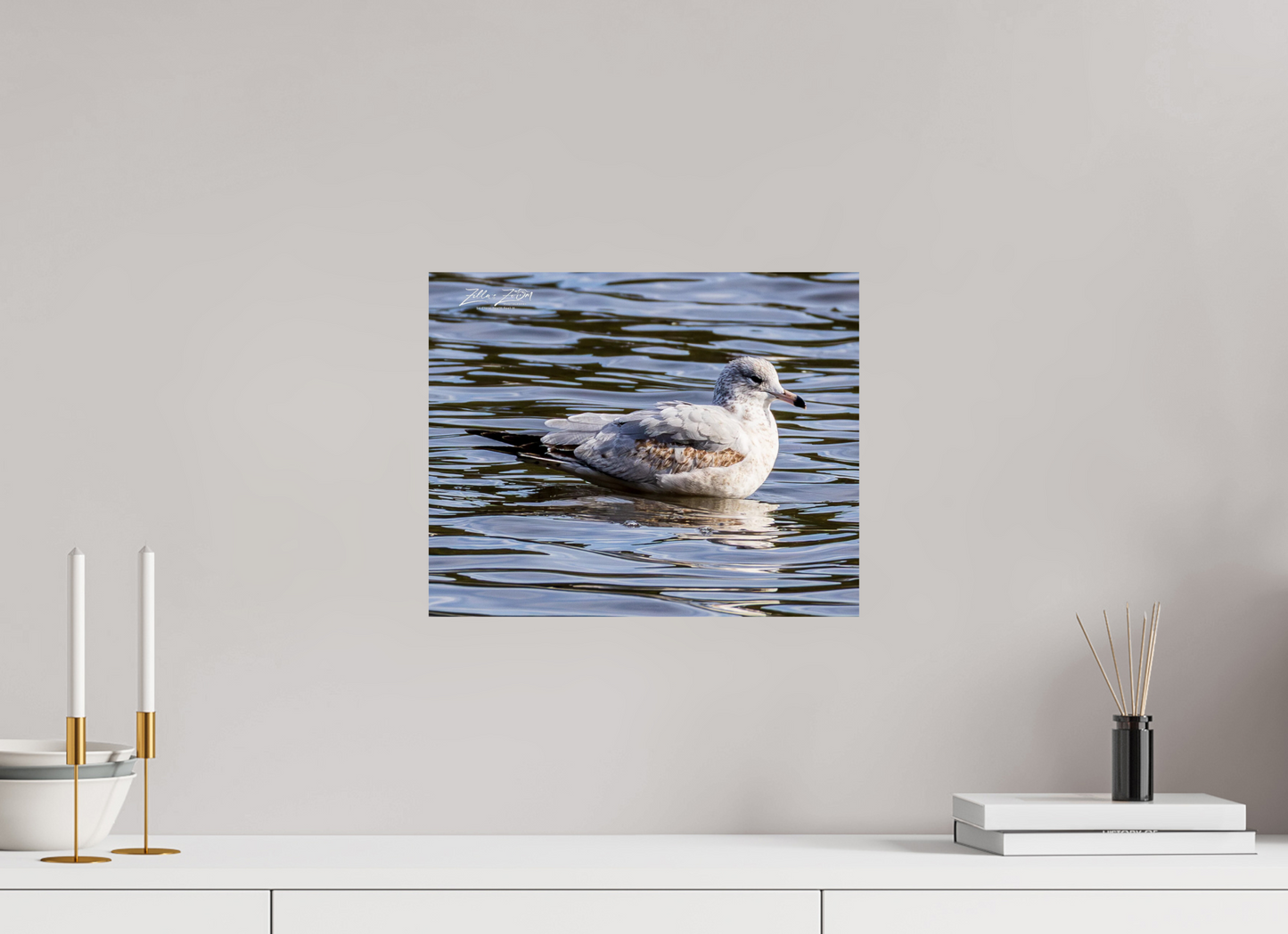 15 x 12″, Photo Print On Fuji Crystal DP II Zillas Zoom Image 271