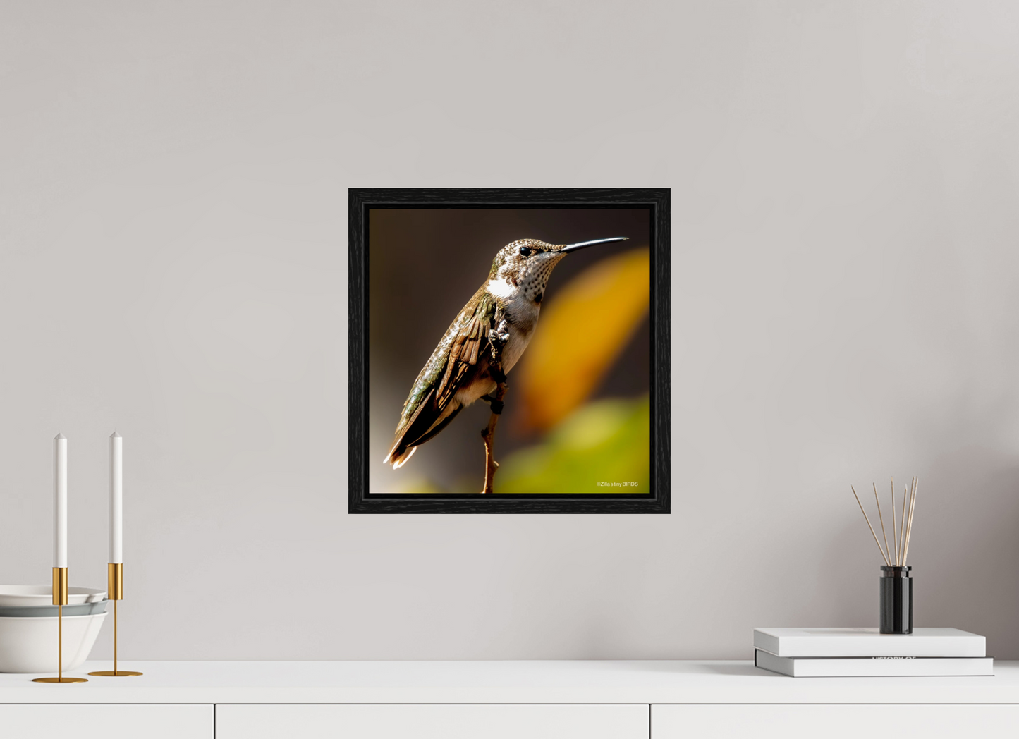 12 x 12.2″, Floater Frame Zillas Zoom Image 359