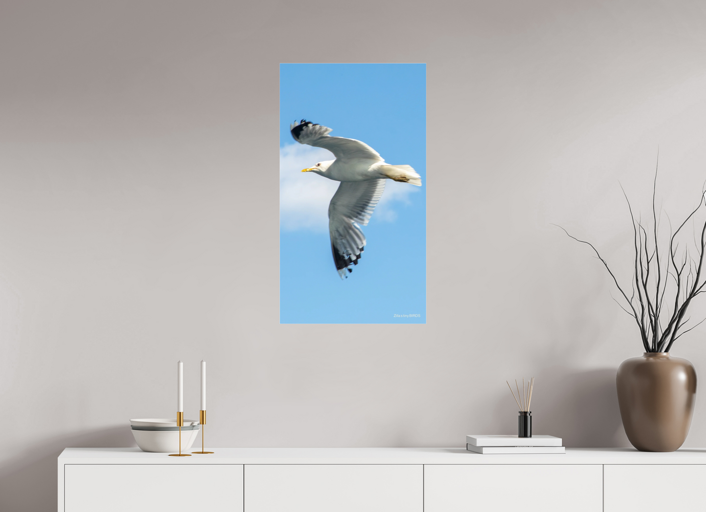 18 x 32″, Photo Print Under Acrylic Glass Zillas Zoom Image 466