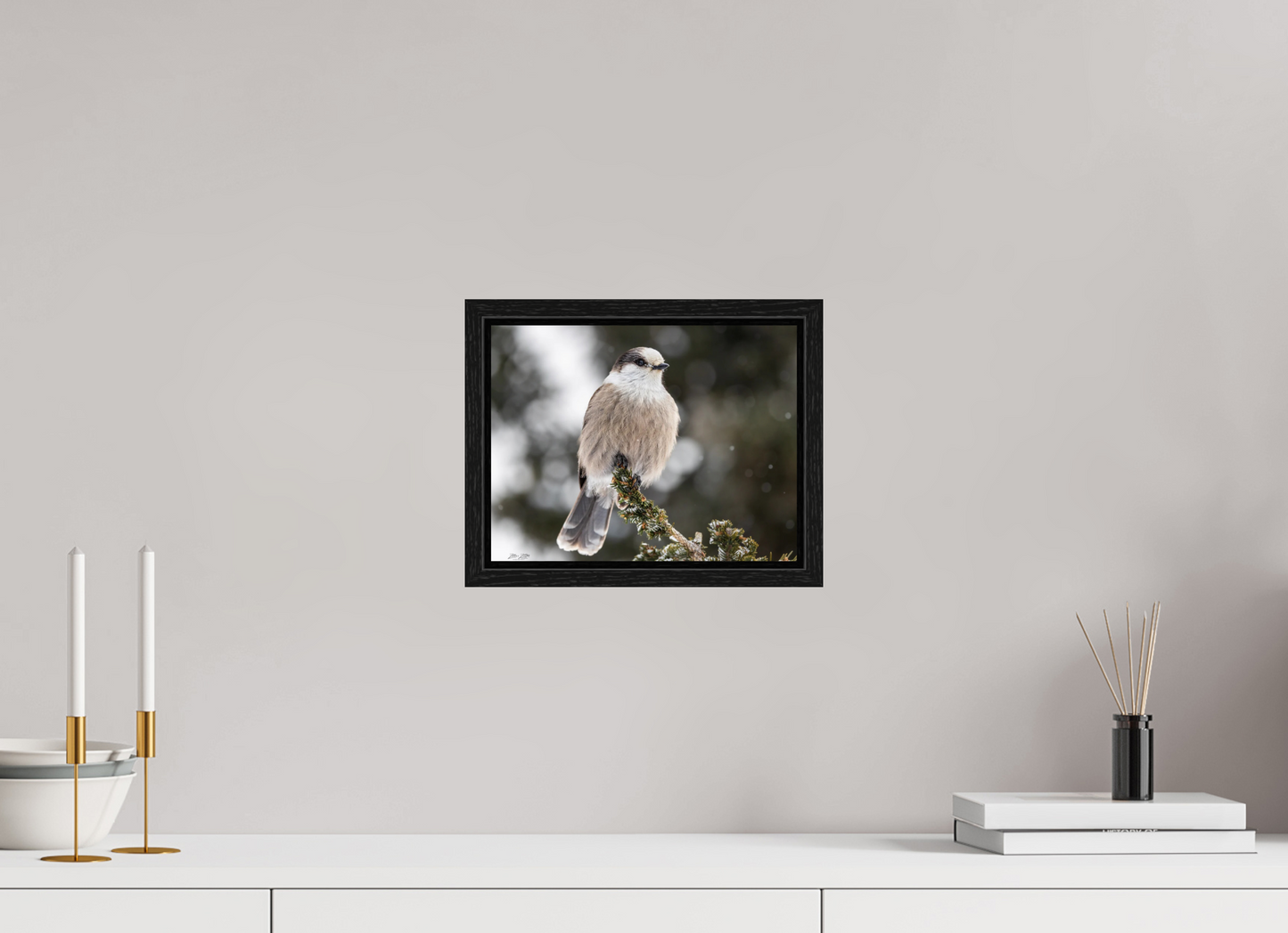 10.4 x 8″, Floater Frame Zillas Zoom Image 353