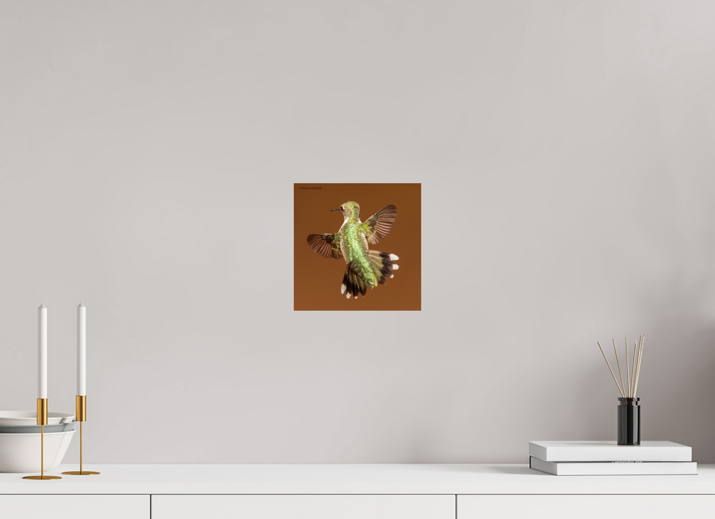 8 x 8″, Photo Print On Fuji Crystal DP II Zillas Zoom Image 338