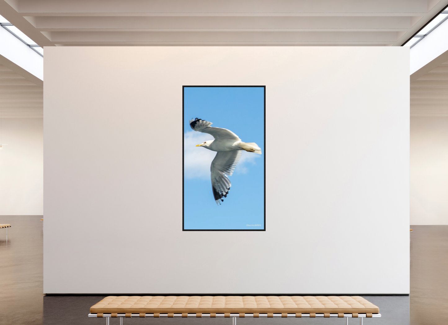 45 x 80″, Floater Frame Zillas Zoom Image 466
