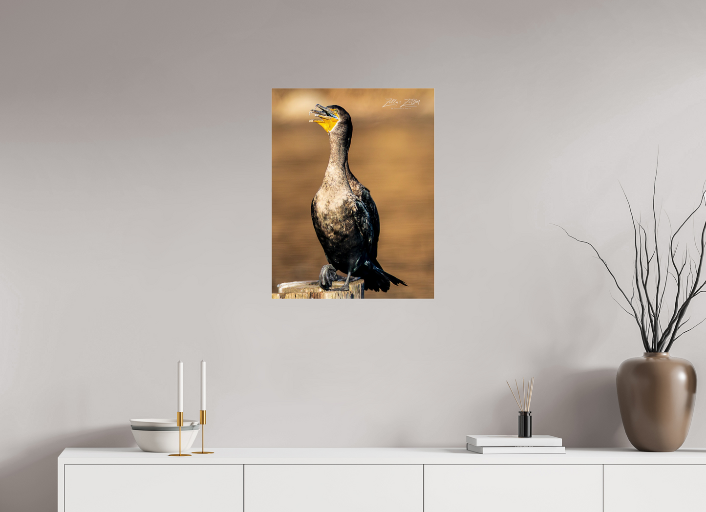 20 x 25.9″, Photo Print Under Acrylic Glass Zillas Zoom Image 421