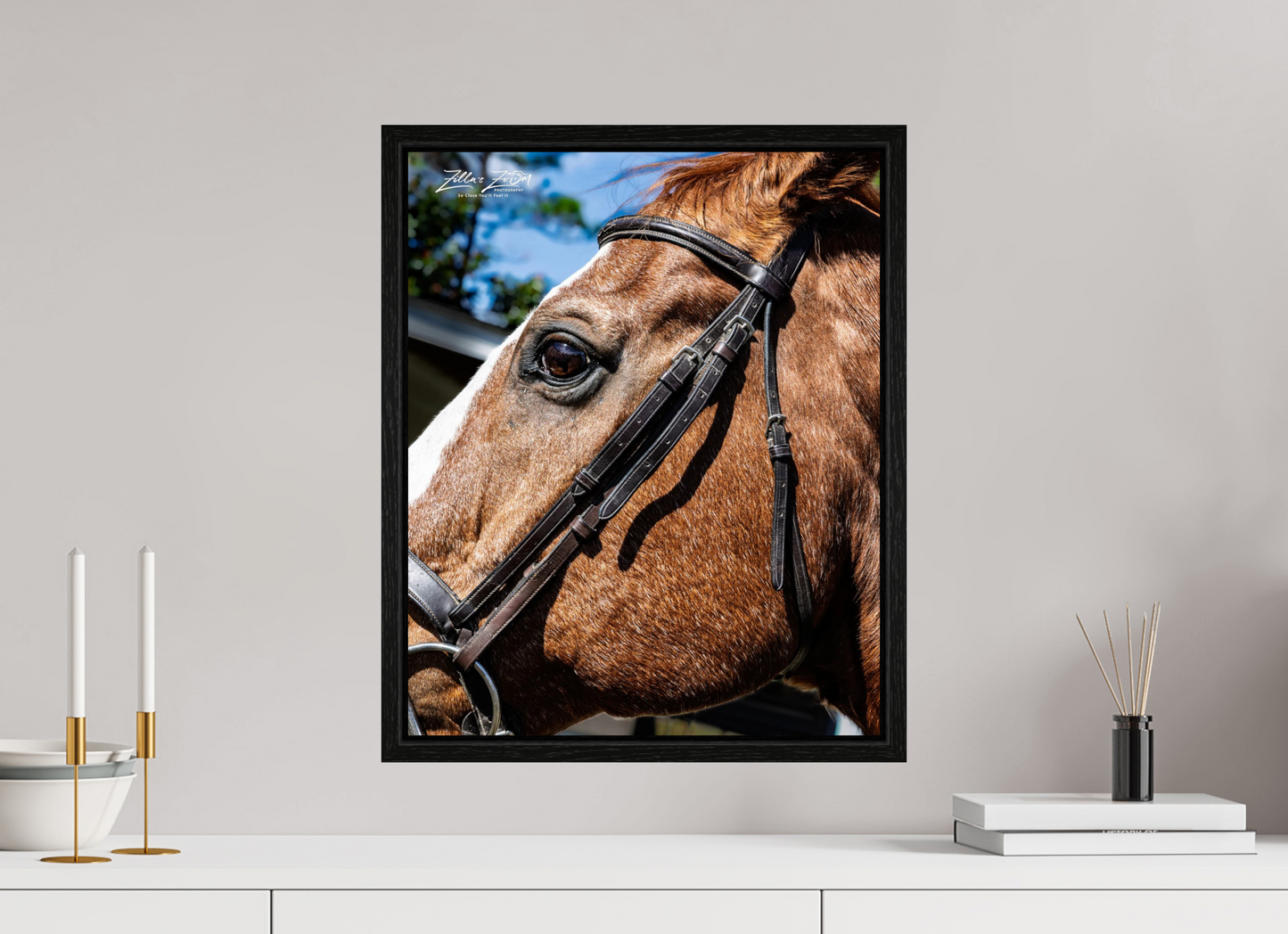 16 x 19.8″, Floater Frame Zillas zoom image 149