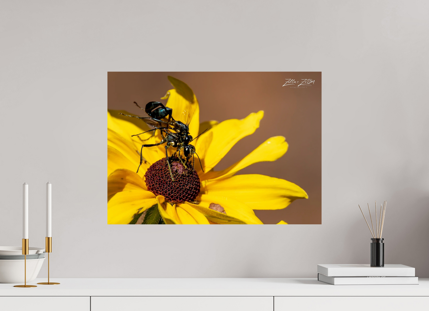 22.4 x 16″, Photo Print On Fuji Crystal DP II Zillas Zoom Image 104