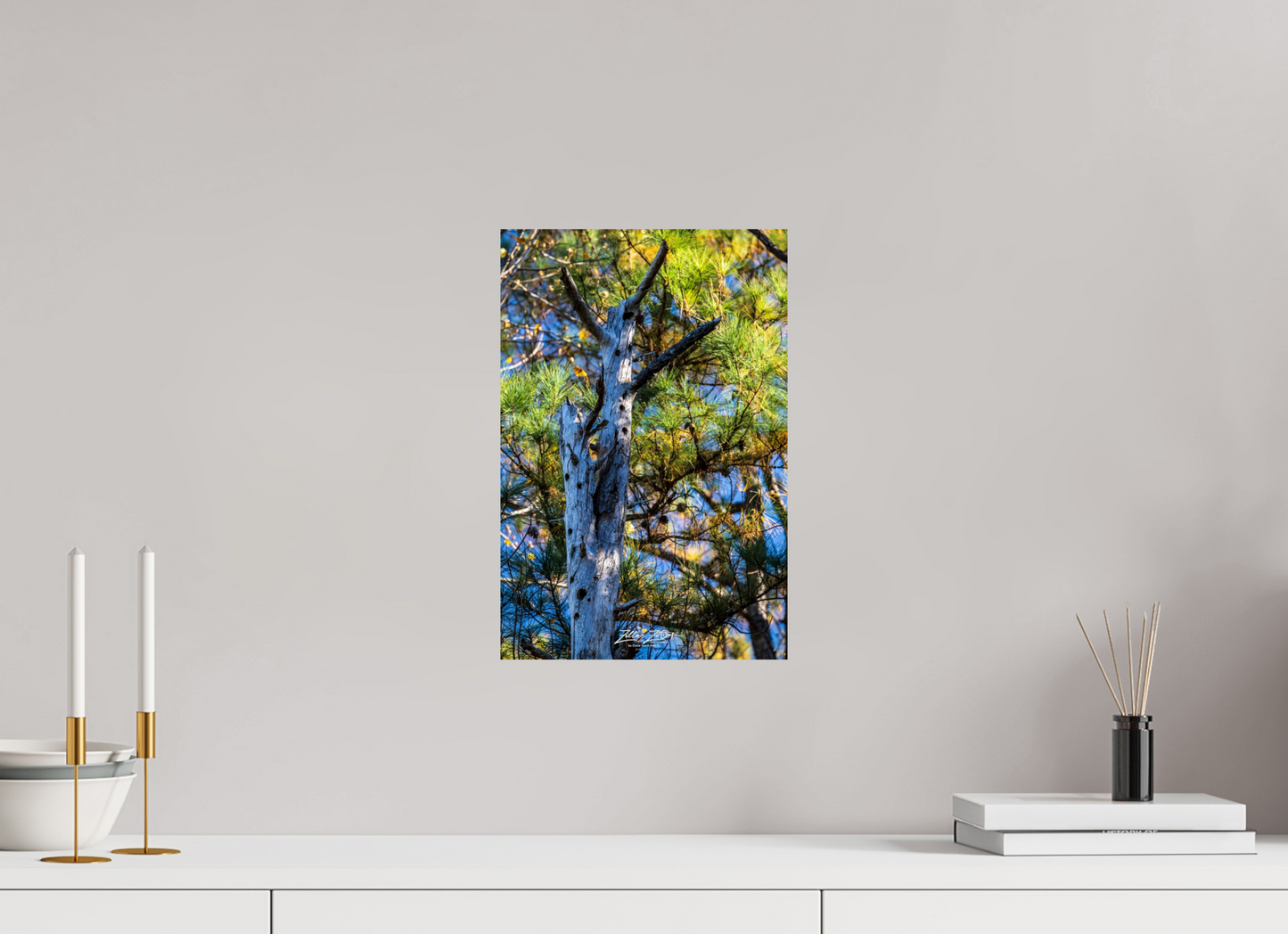 10 x 15″, Photo Print On Fuji Crystal DP II Zillas Zoom Image 252