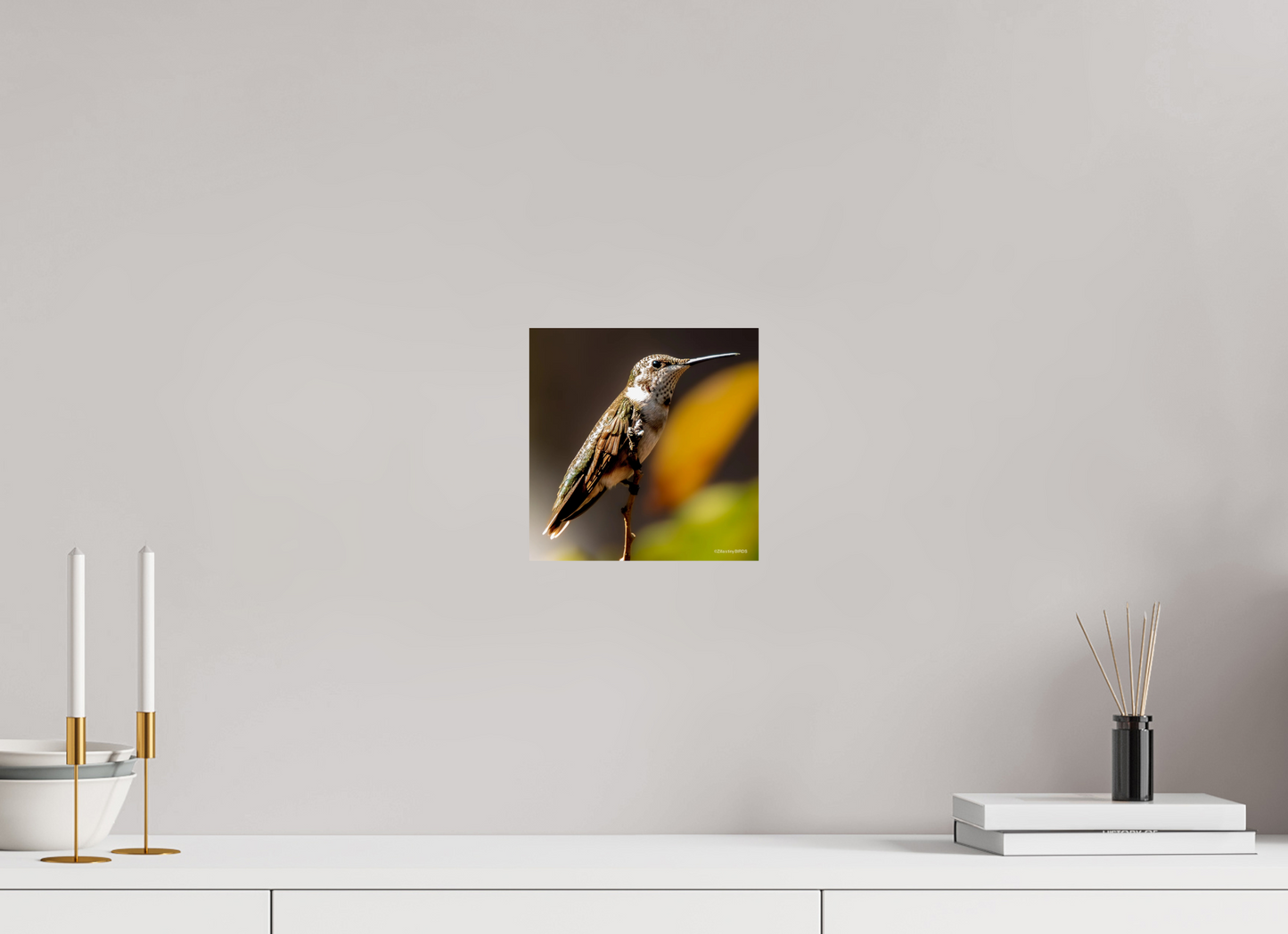 8 x 8.1″, Photo Print On Fuji Crystal DP II Zillas Zoom Image 359
