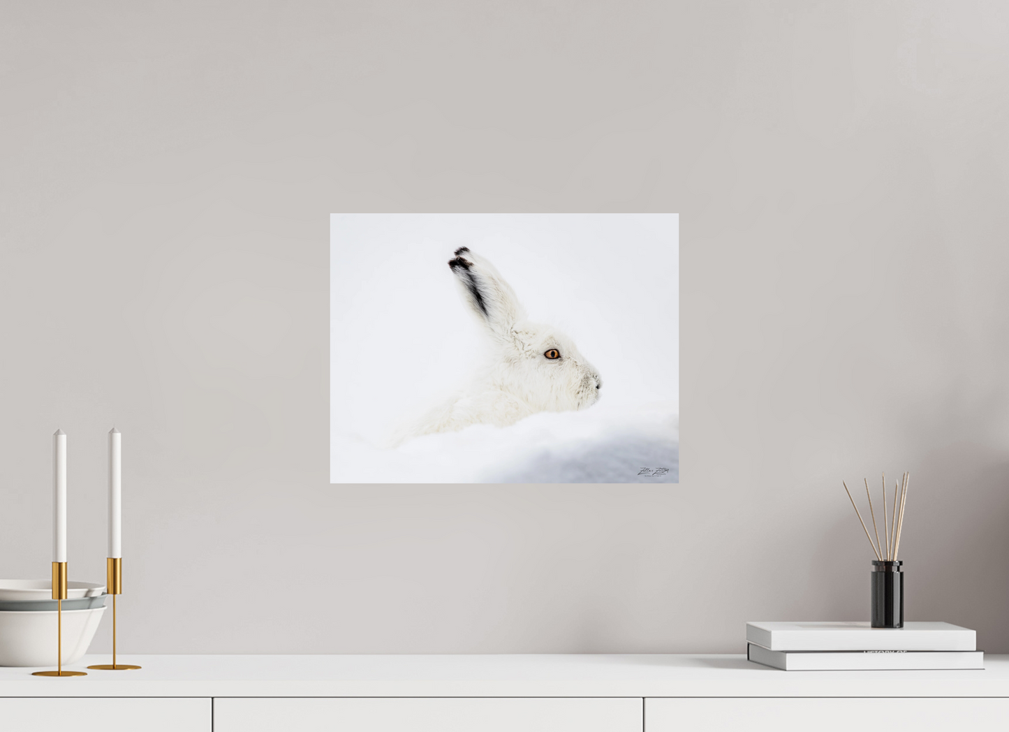 15.5 x 12″, Photo Print On Fuji Crystal DP II Zillas zoom image 147