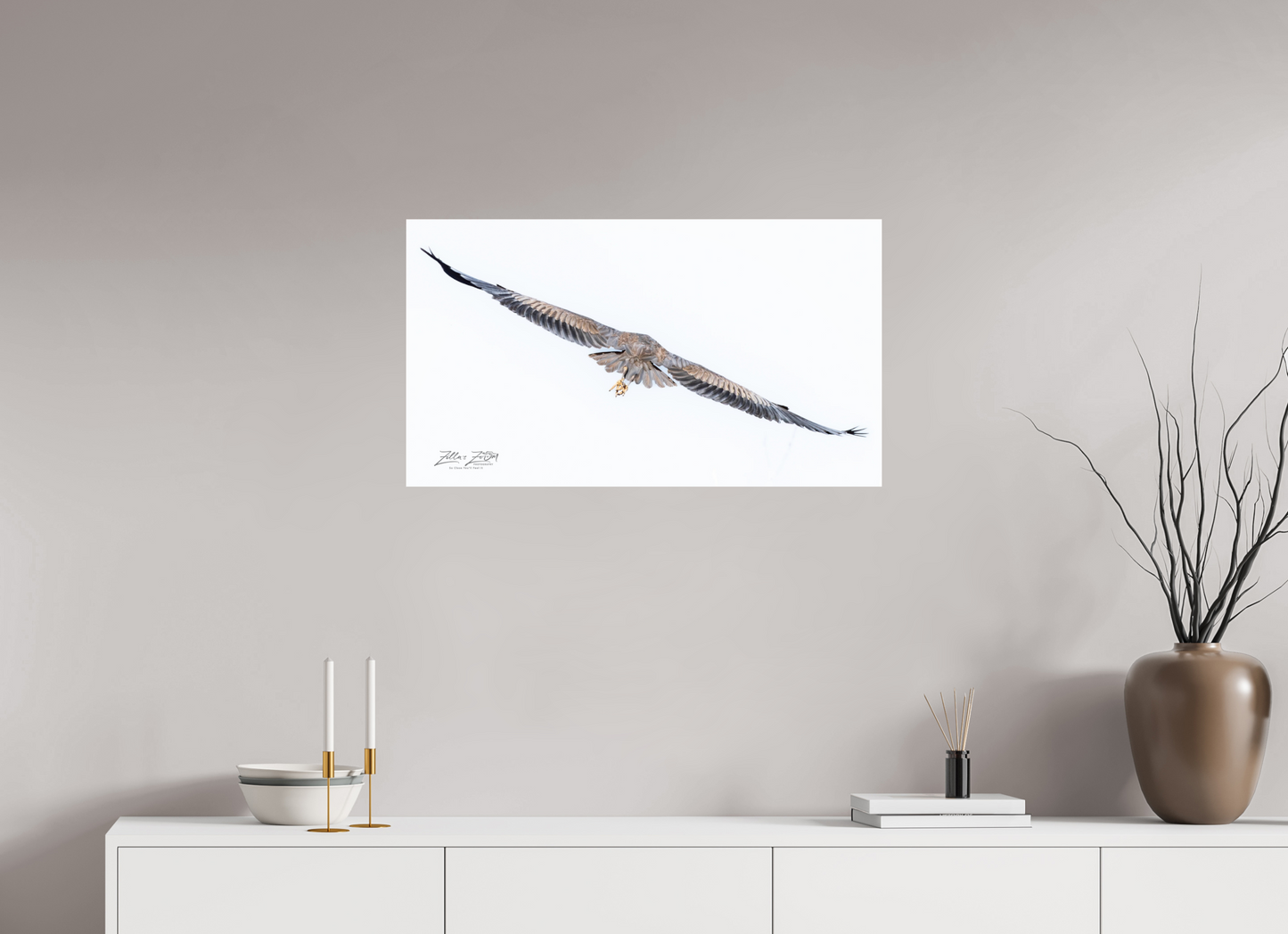32 x 18″, Photo Print Under Acrylic Glass Zillas Zoom Image 275