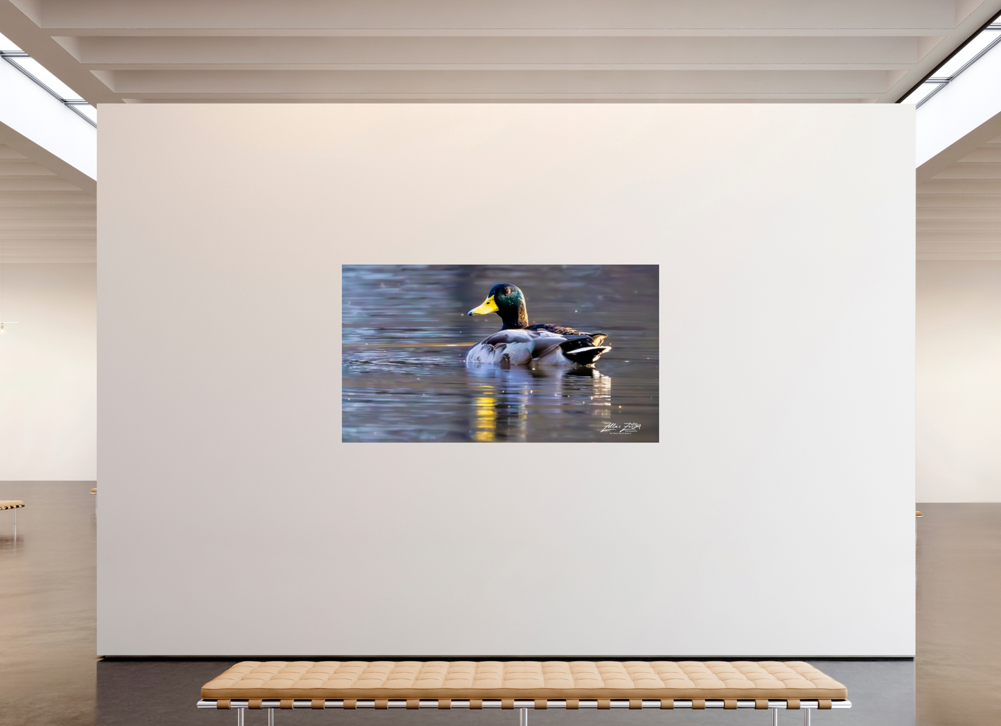 80 x 45″, Photo Print Under Acrylic Glass Zillas Zoom Image 334