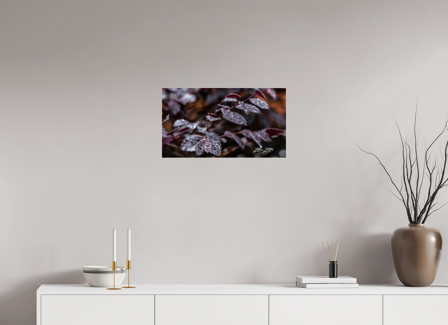 24 x 13.5″, Photo Print Under Acrylic Glass Zillas Zoom Image 88