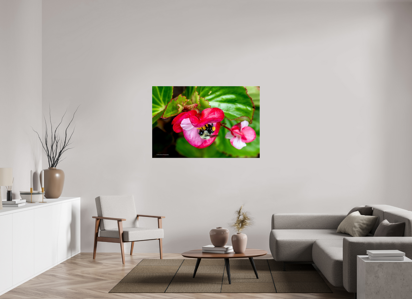 54 x 36″, Photo Print Under Acrylic Glass Zillas Zoom Image 96