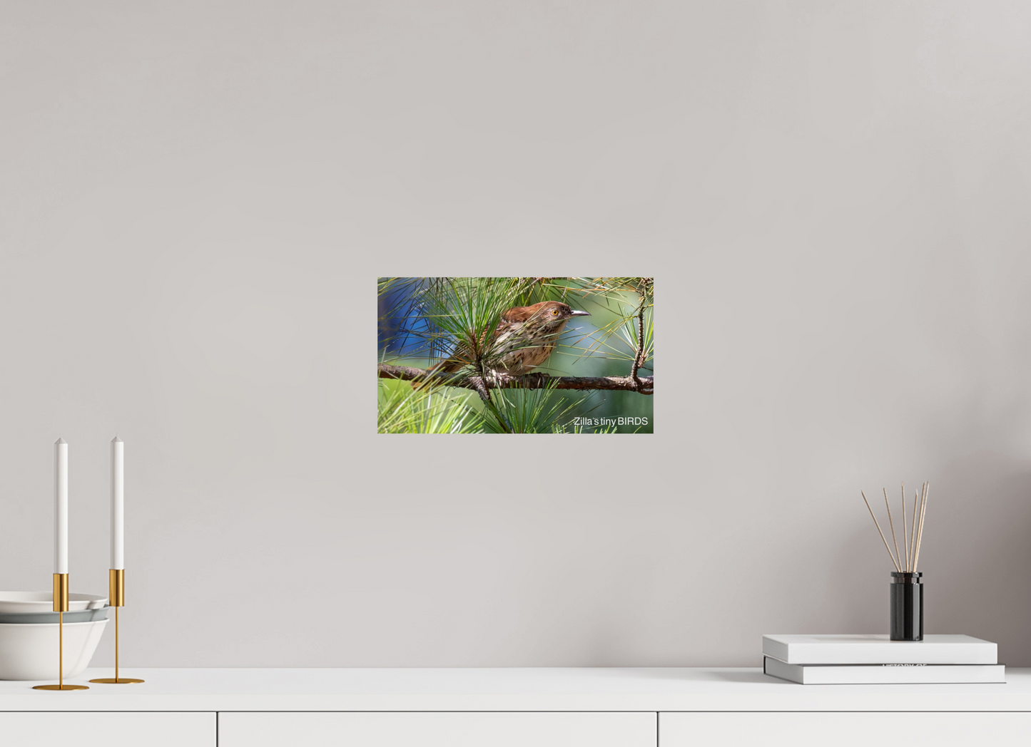 12 x 6.8″, Photo Print On Fuji Crystal DP II Zillas Zoom Image 379