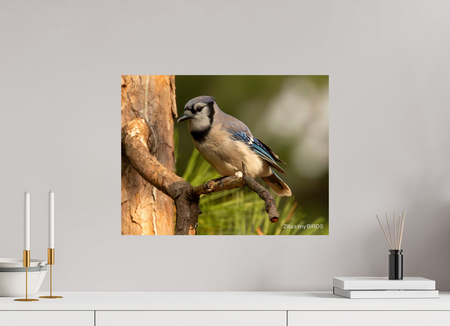 20.7 x 16″, Photo Print On Fuji Crystal DP II Zillas Zoom Image 386