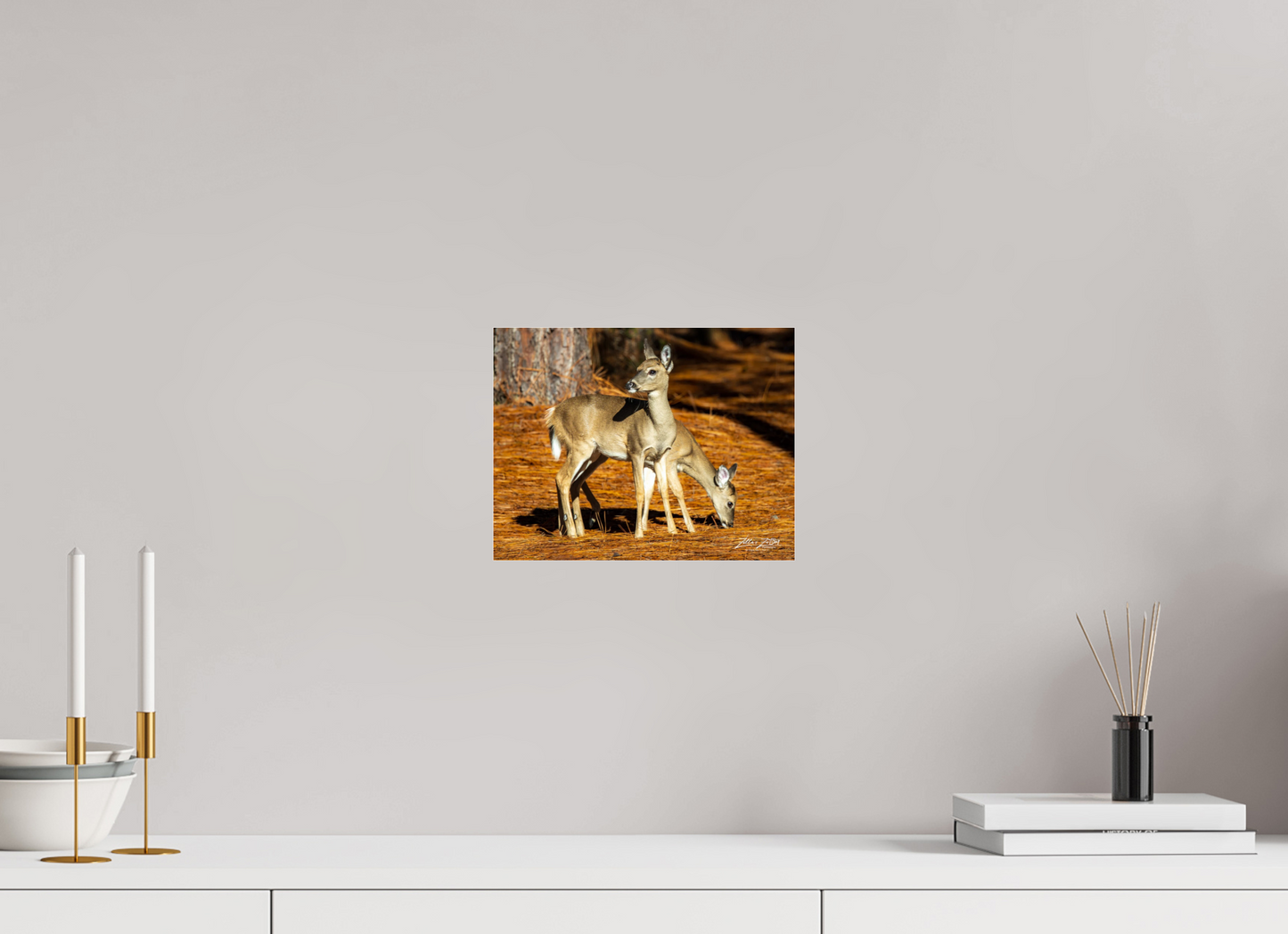 10.4 x 8″, Photo Print Under Acrylic Glass Zillas zoom image 144