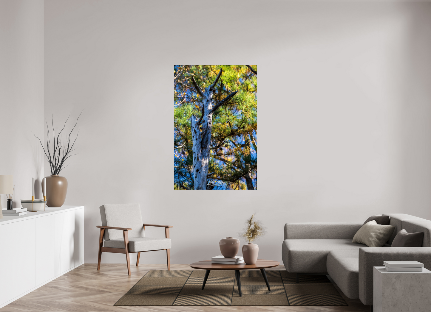 40 x 60″, Photo Print Under Acrylic Glass Zillas Zoom Image 252