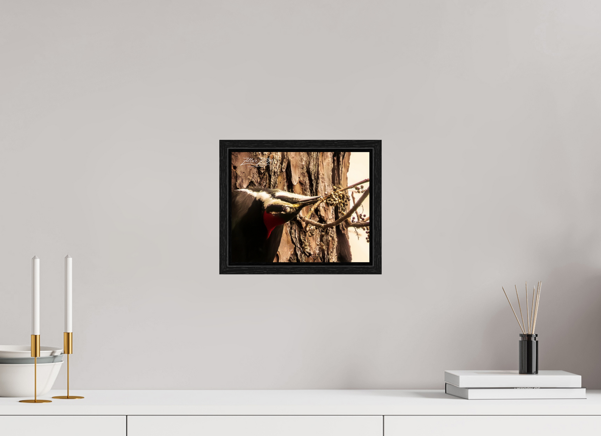 10 x 8″, Floater Frame Zillas Zoom Image 280