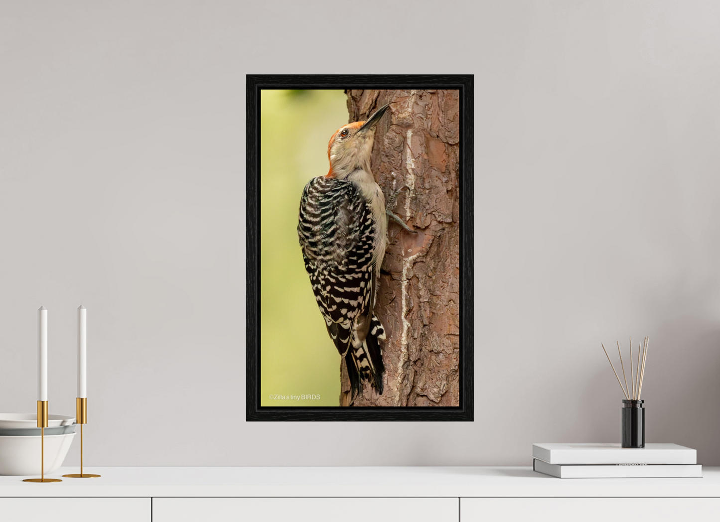 12 x 19.2″, Floater Frame Zillas Zoom Image 456
