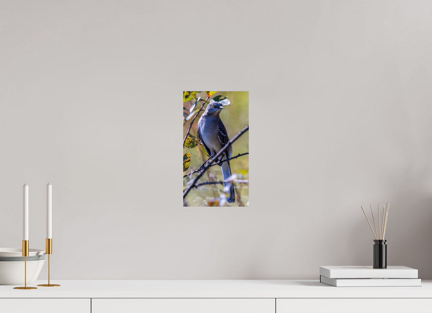 6.8 x 12″, Photo Print On Fuji Crystal DP II Zillas Zoom Image 408