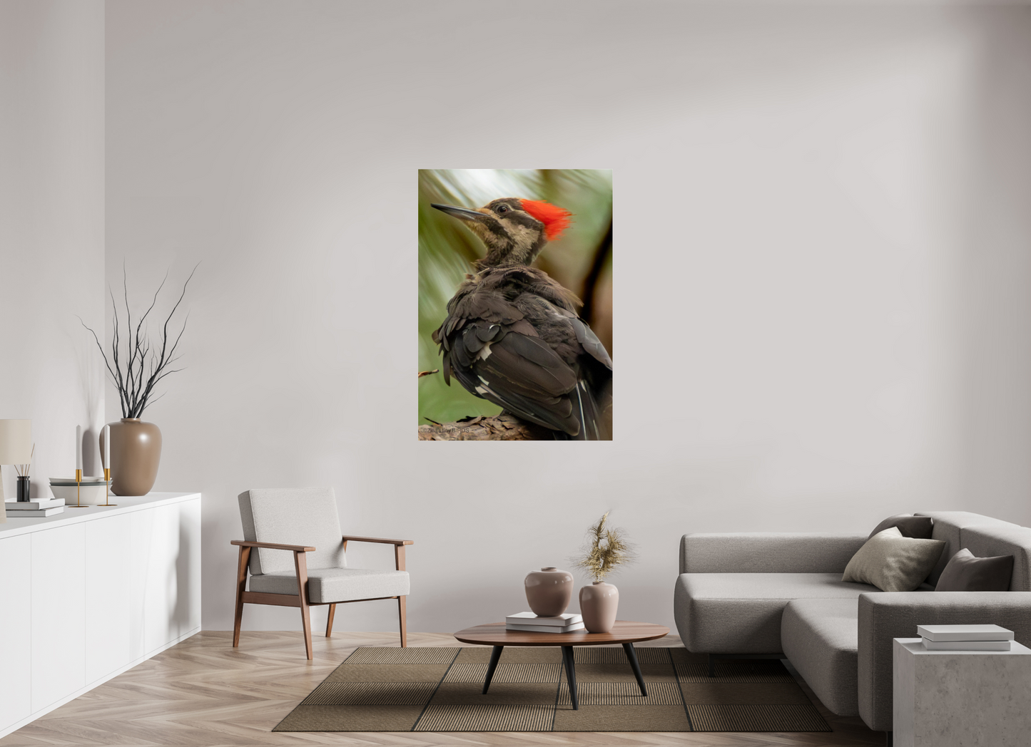 39 x 54.6″, Photo Print Under Acrylic Glass Zillas Zoom Image 443