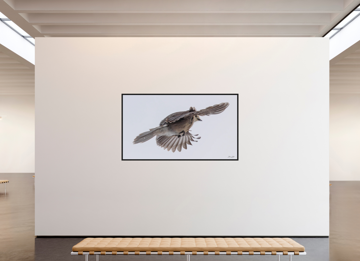 80 x 45″, Floater Frame Zillas Zoom Image 352