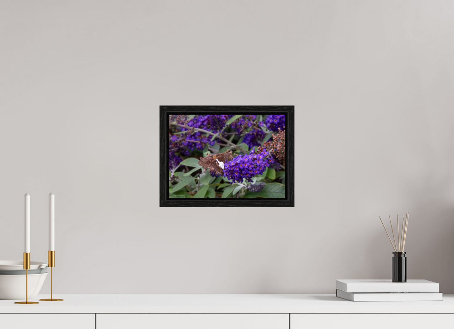11.2 x 8″, Floater Frame Zillas Zoom Image 60