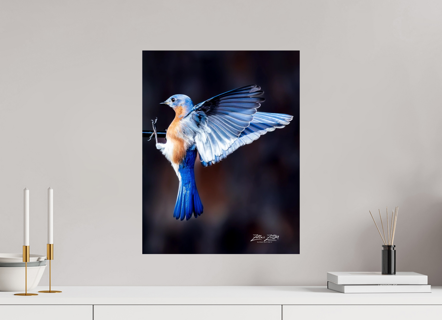 16 x 20.7″, Photo Print On Fuji Crystal DP II Zillas Zoom Image 513