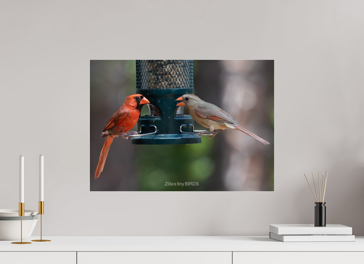 22.4 x 16″, Photo Print Under Acrylic Glass Zillas Zoom Image 367