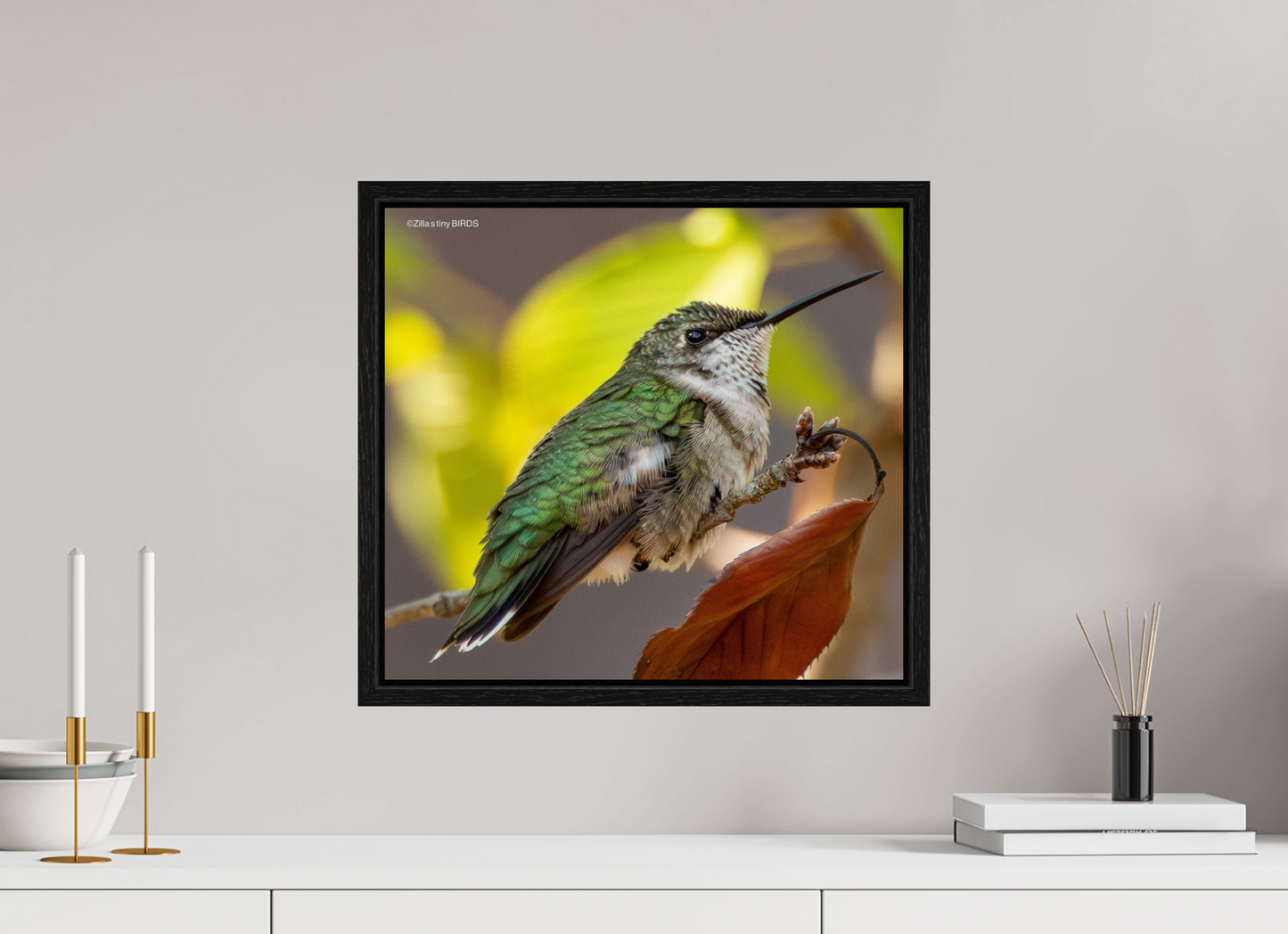 17.6 x 16″, Floater Frame Zillas Zoom Image 347