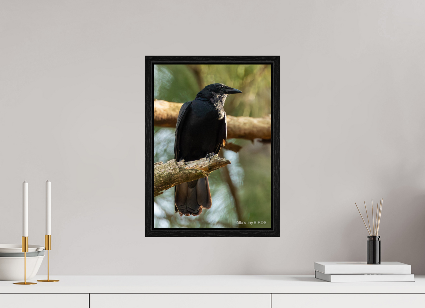 12 x 16.8″, Floater Frame Zillas Zoom Image 523