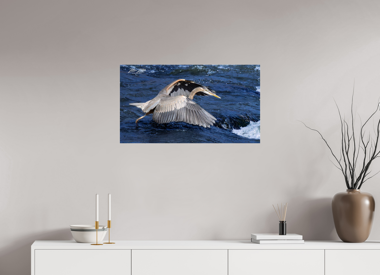 32 x 18″, Photo Print Under Acrylic Glass Zillas Zoom Image 286