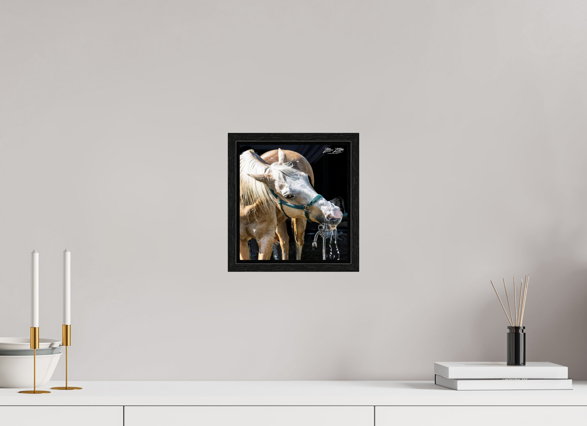 8 x 8.5″, Floater Frame Zillas zoom image 148