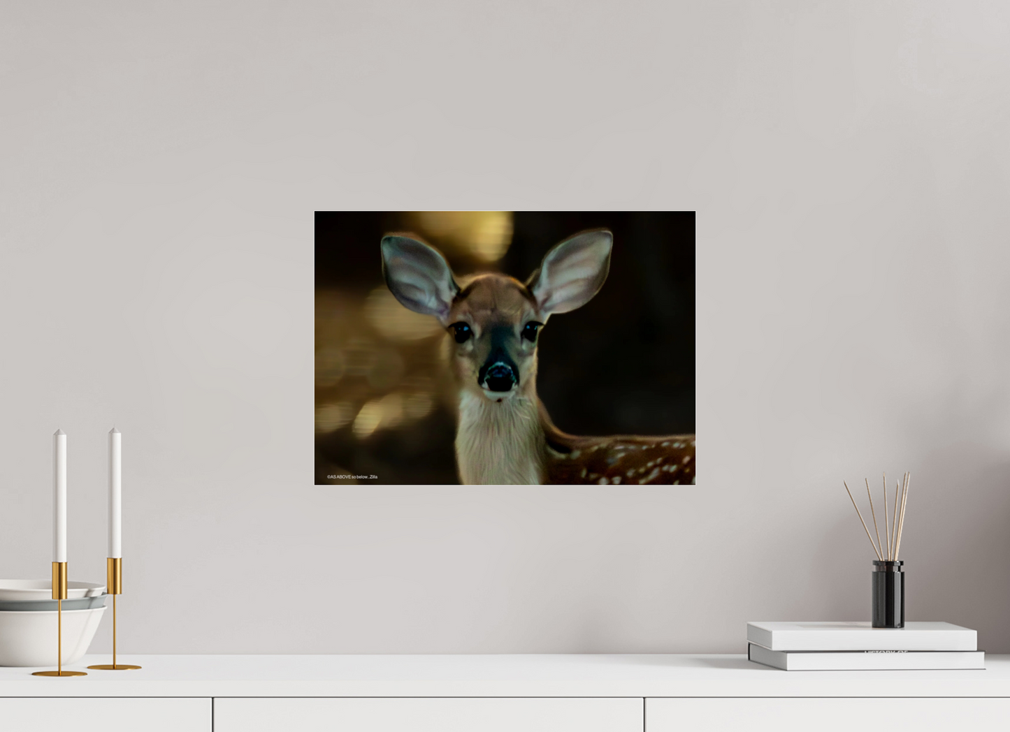 16.7 x 12″, Photo Print Under Acrylic Glass Zillas zoom image 135