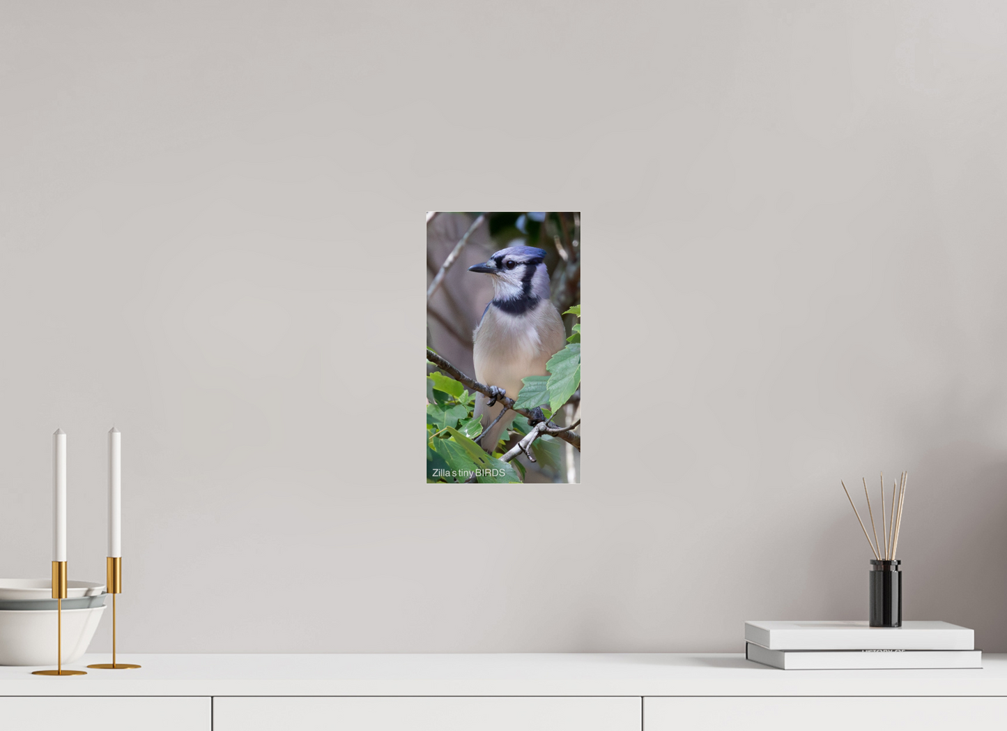 6.8 x 12″, Photo Print Under Acrylic Glass Zillas Zoom Image 483