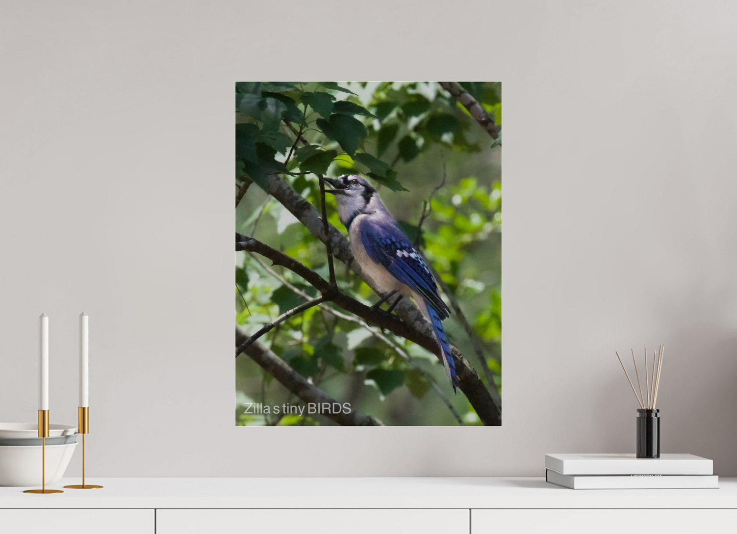 16 x 20.7″, Photo Print Under Acrylic Glass Zillas Zoom Image 469