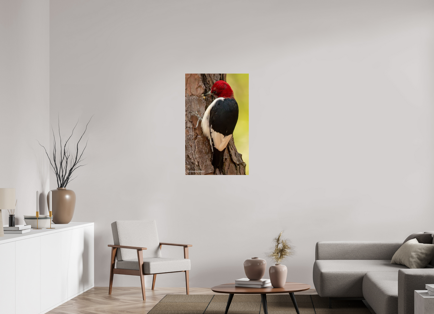 24 x 38.4″, Photo Print Under Acrylic Glass Zillas Zoom Image 461