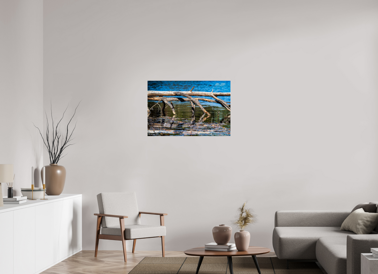 36 x 24″, Photo Print Under Acrylic Glass Zillas Zoom Image 214