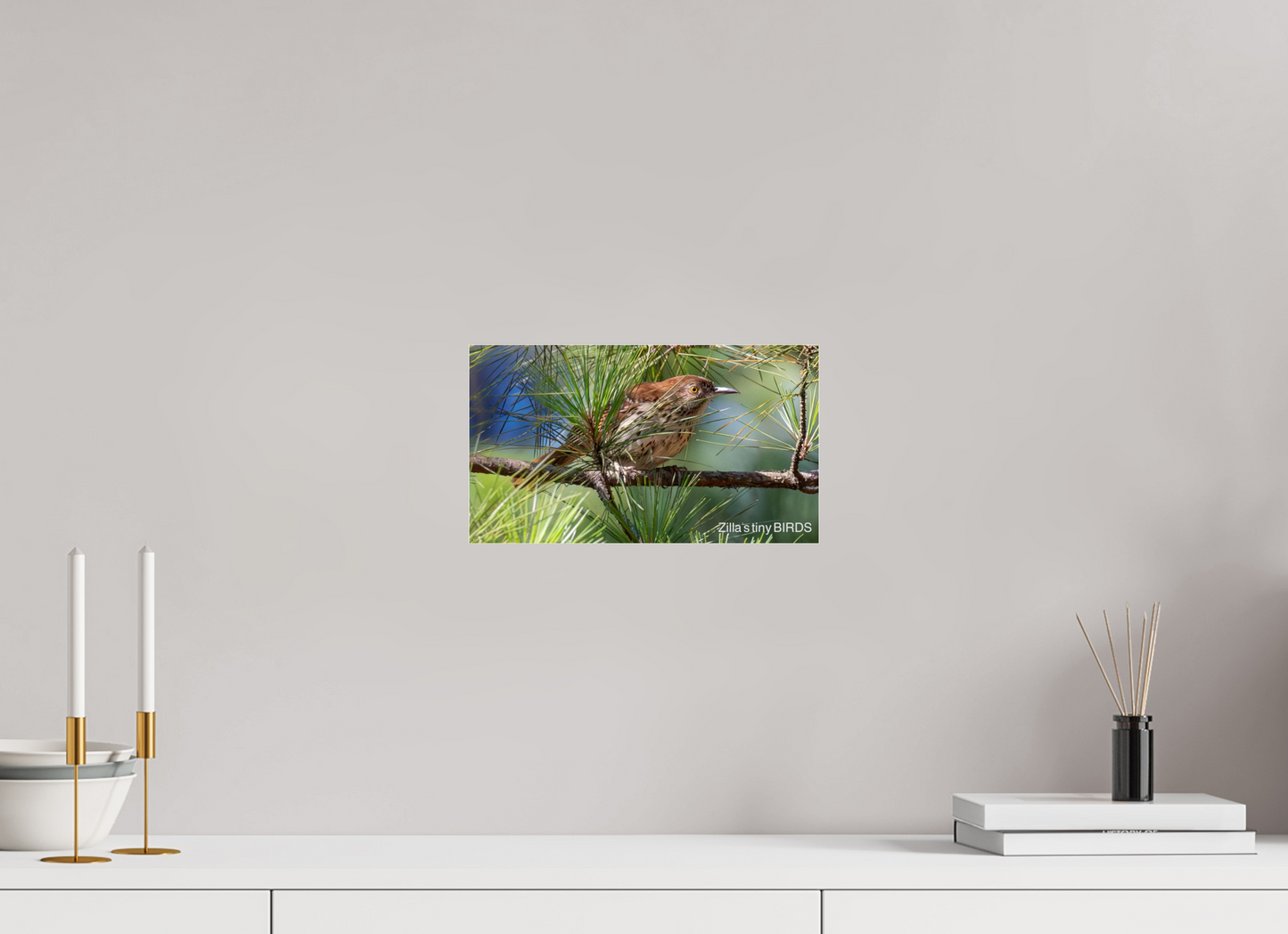 12 x 6.8″, Photo Print Under Acrylic Glass Zillas Zoom Image 379