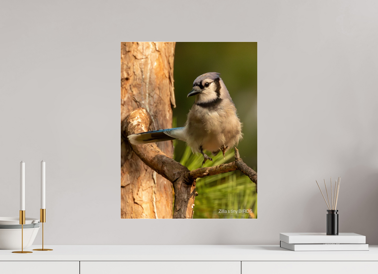 16 x 20.7″, Photo Print Under Acrylic Glass Zillas Zoom Image 520